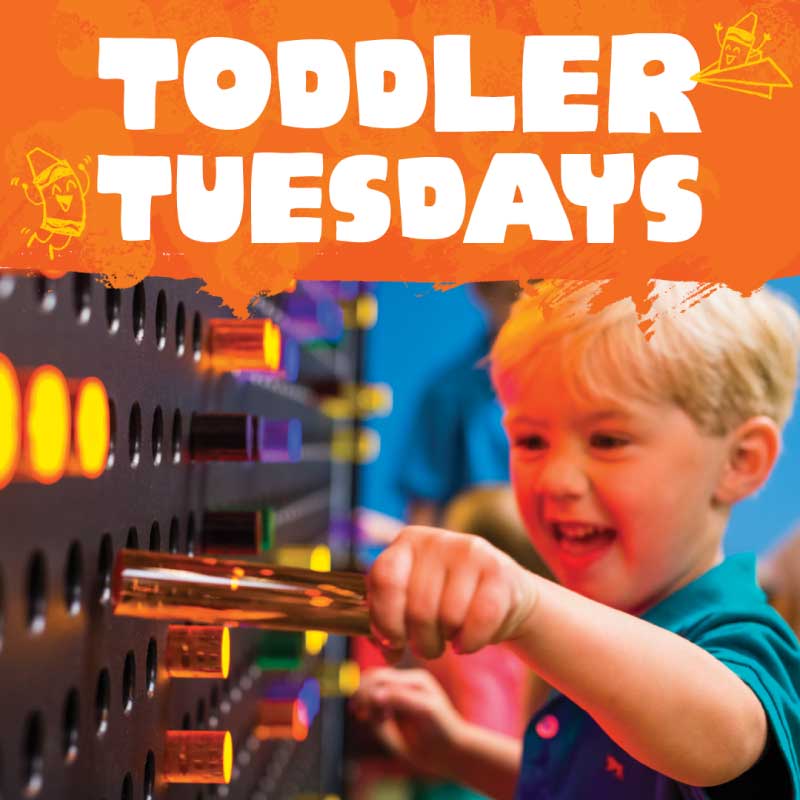 Toddler Tuesday